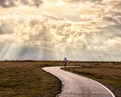 A person walking alone on a curved path